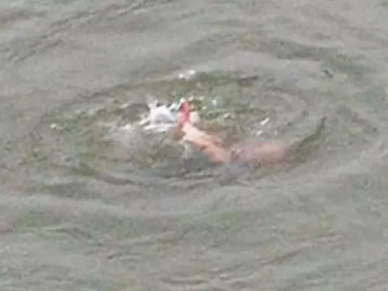 两个男孩在运河里游泳时淹死了