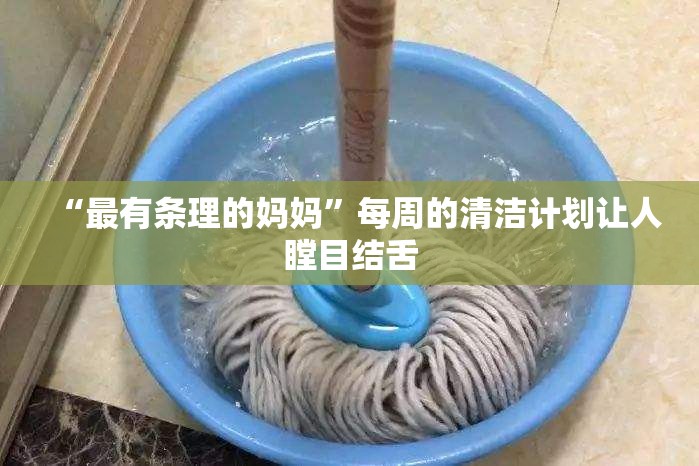 “最有条理的妈妈”每周的清洁计划让人瞠目结舌